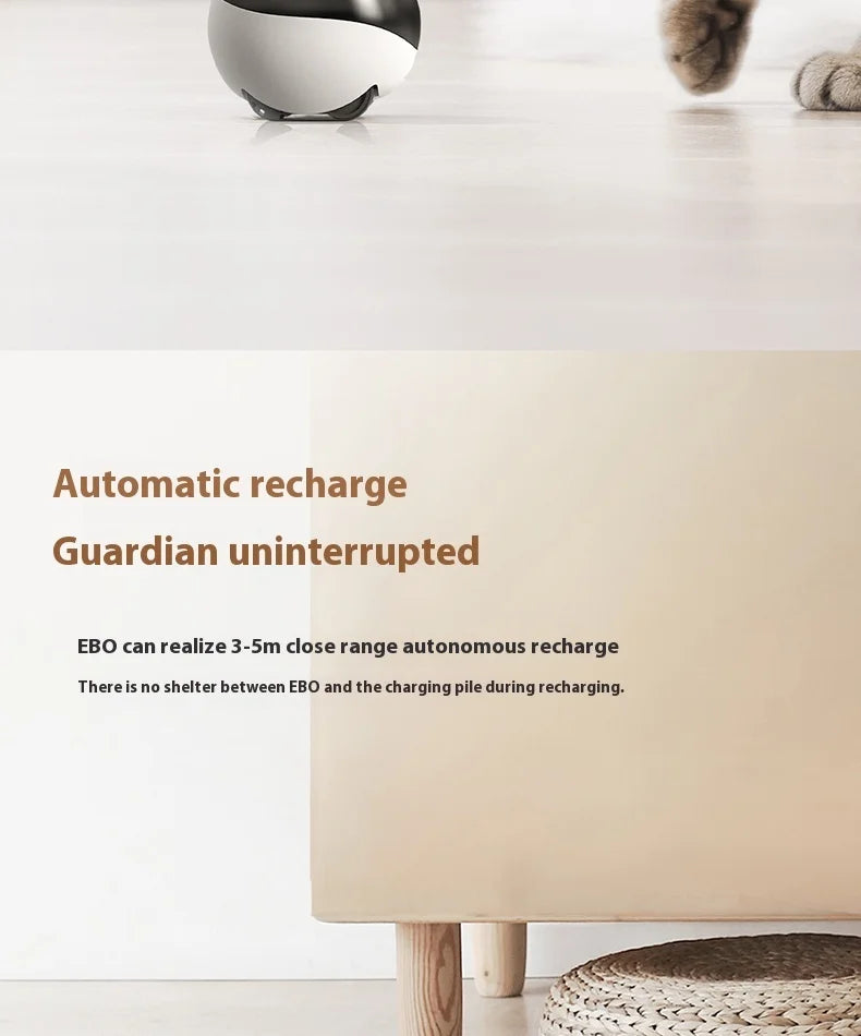 Enabot EBO Air EBO SE Intelligent Robot Wireless Camera