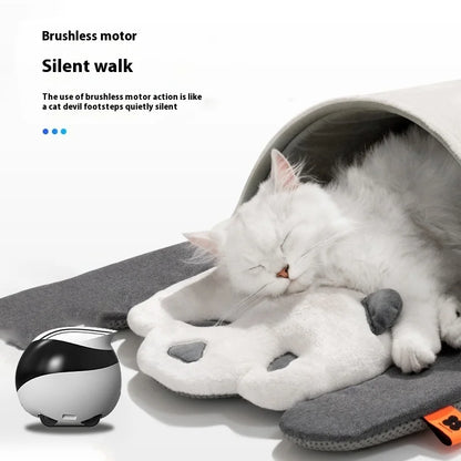 Enabot EBO Air EBO SE Intelligent Robot Wireless Camera