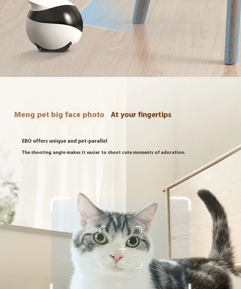 Enabot EBO Air EBO SE Intelligent Robot Wireless Camera