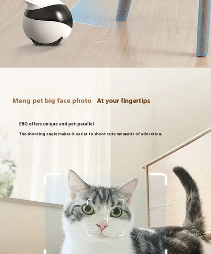Enabot EBO Air EBO SE Intelligent Robot Wireless Camera