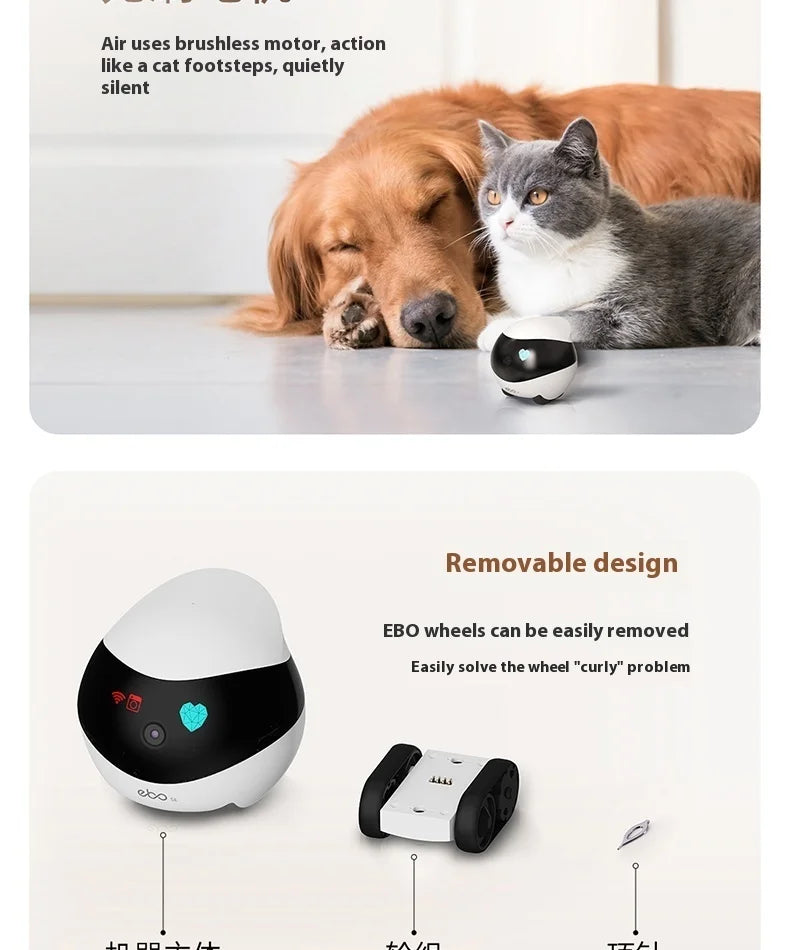 Enabot EBO Air EBO SE Intelligent Robot Wireless Camera